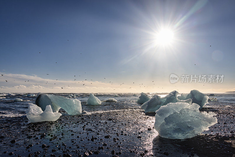 Jökulsárlón Iceberg Lagoon Black Beach Iceland Jokulsarlon Diamon Beach